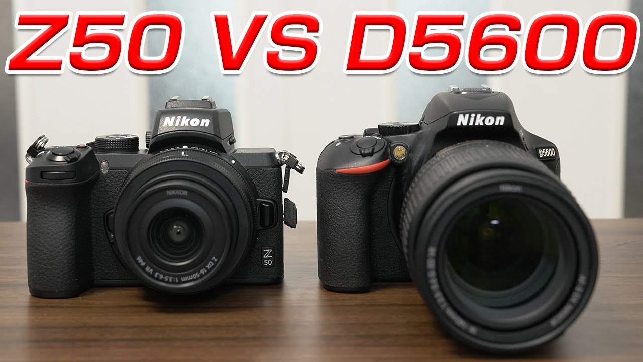 Nikon Z50 D5600 比較してみました！あなたはどっち？