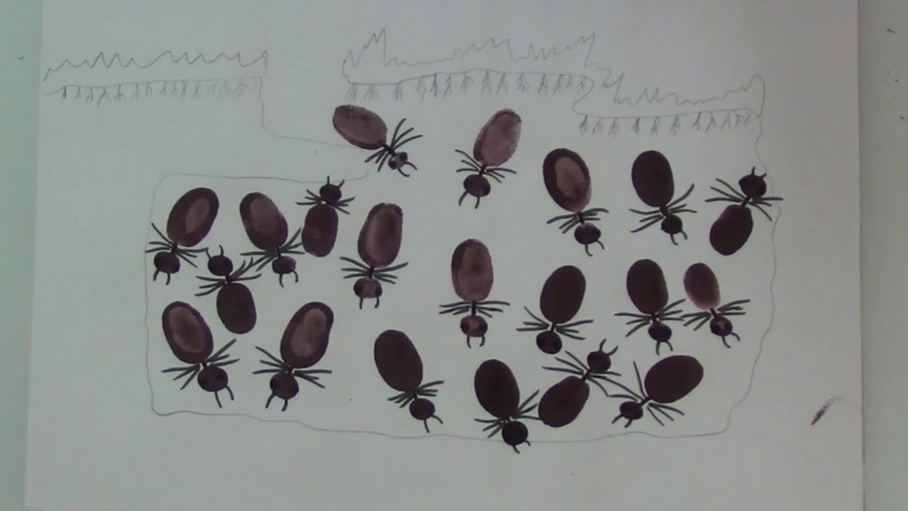 Ant's Secret Home | Finger Print Art | Finger Print Activities For Kids | Finger Printing of Ants