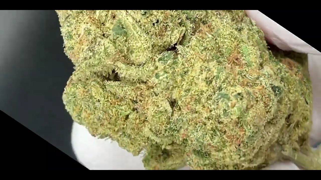 LA Kush Cake Strain - Flower Quality from cbdengland.co.uk