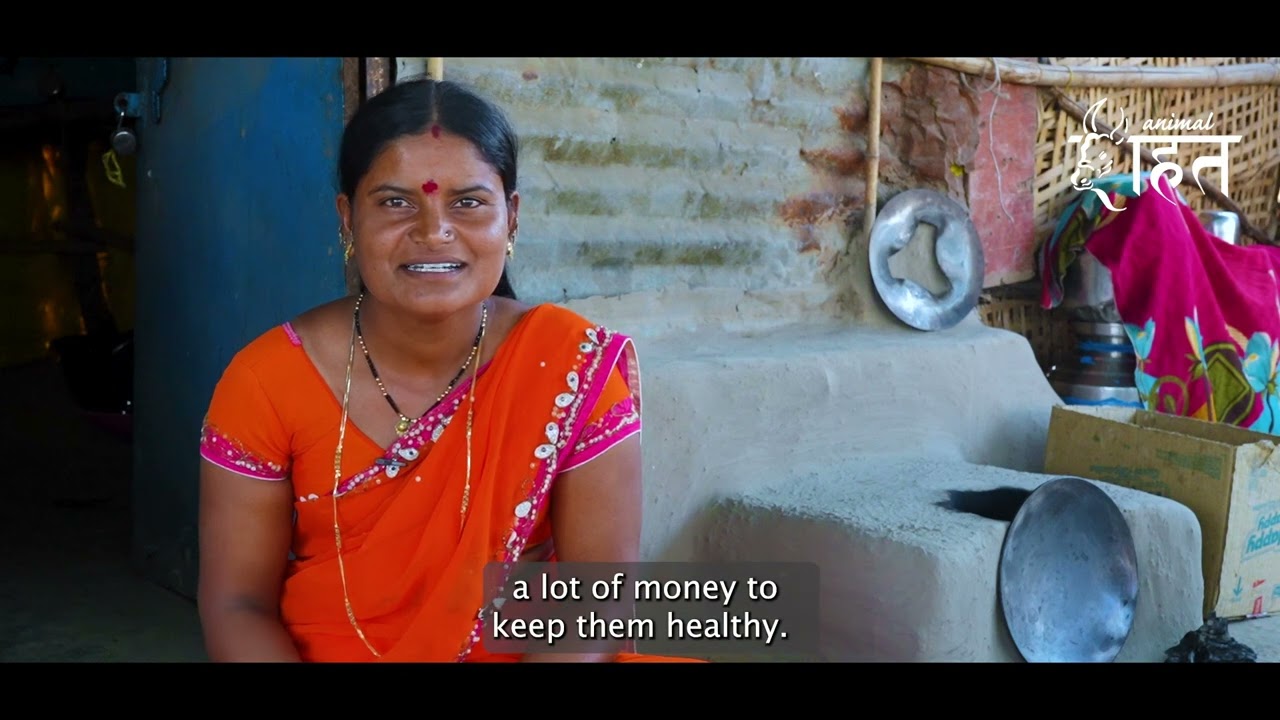 Heartwarming: How Sugar Factory Mechanisation is Changing Lives