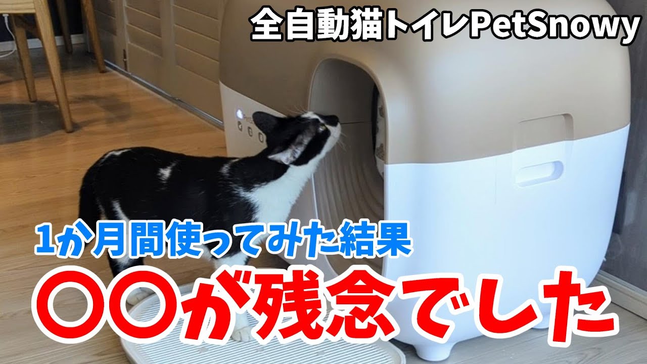 全自動猫トイレPetSnowyを1か月使ってみた感想【PetSnowy】【レビュー】