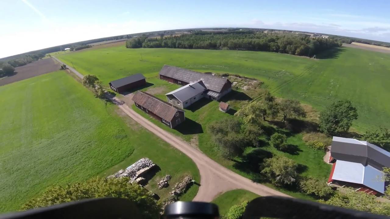 ekeskog