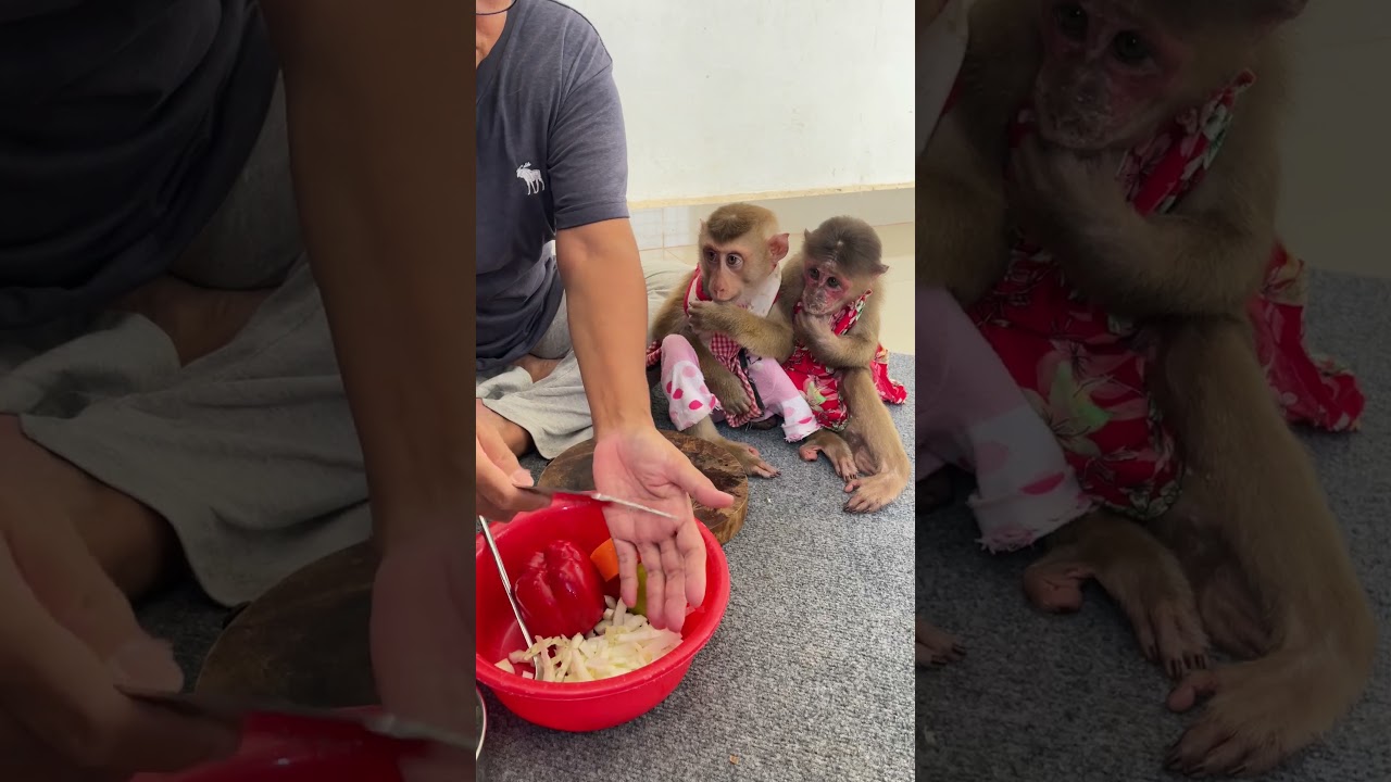 Living sweet with tasty meals 