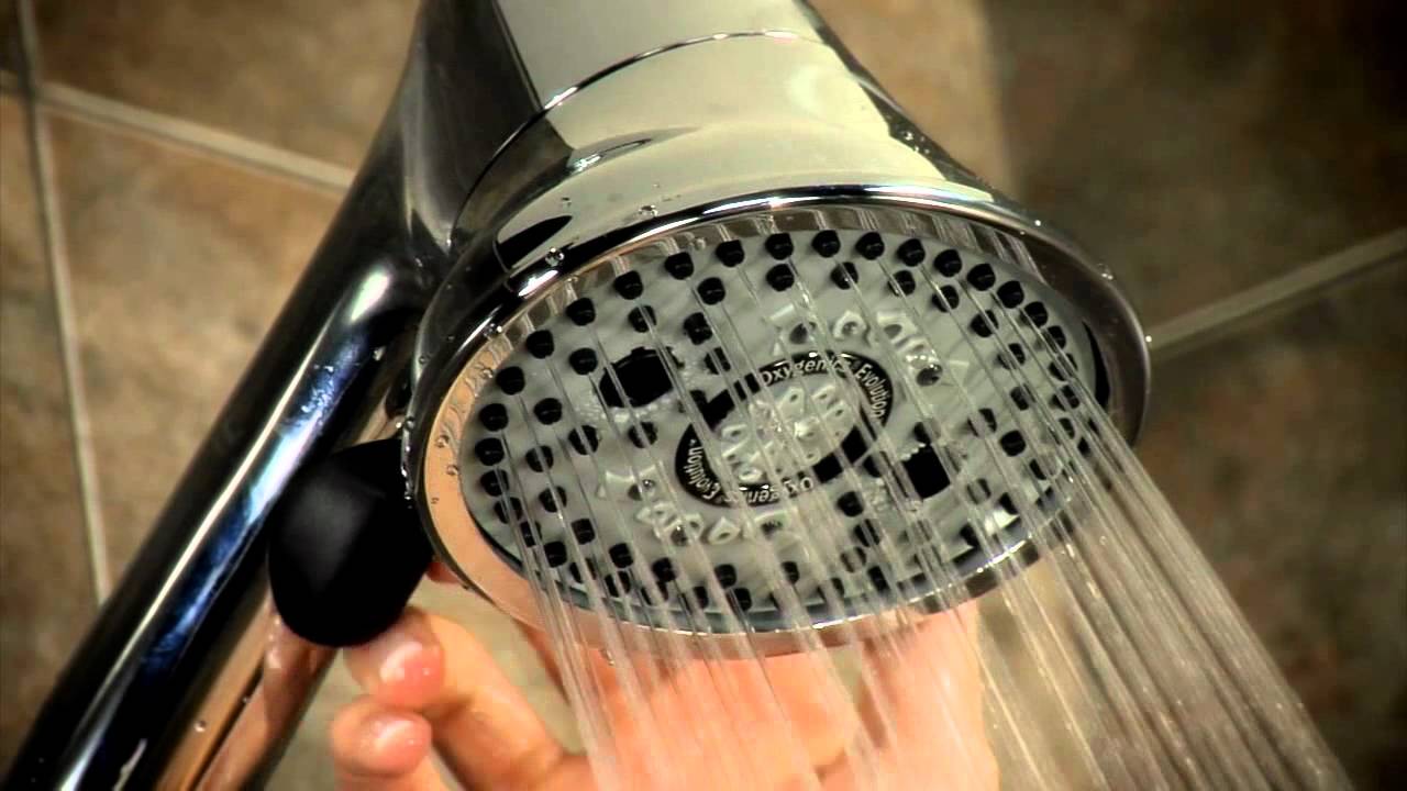Oxygenics Evolution Handheld Shower Head