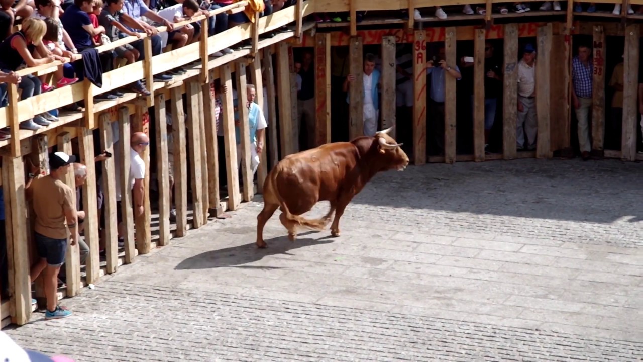 Encierro de Toros de Fermoselle 25/08/2018