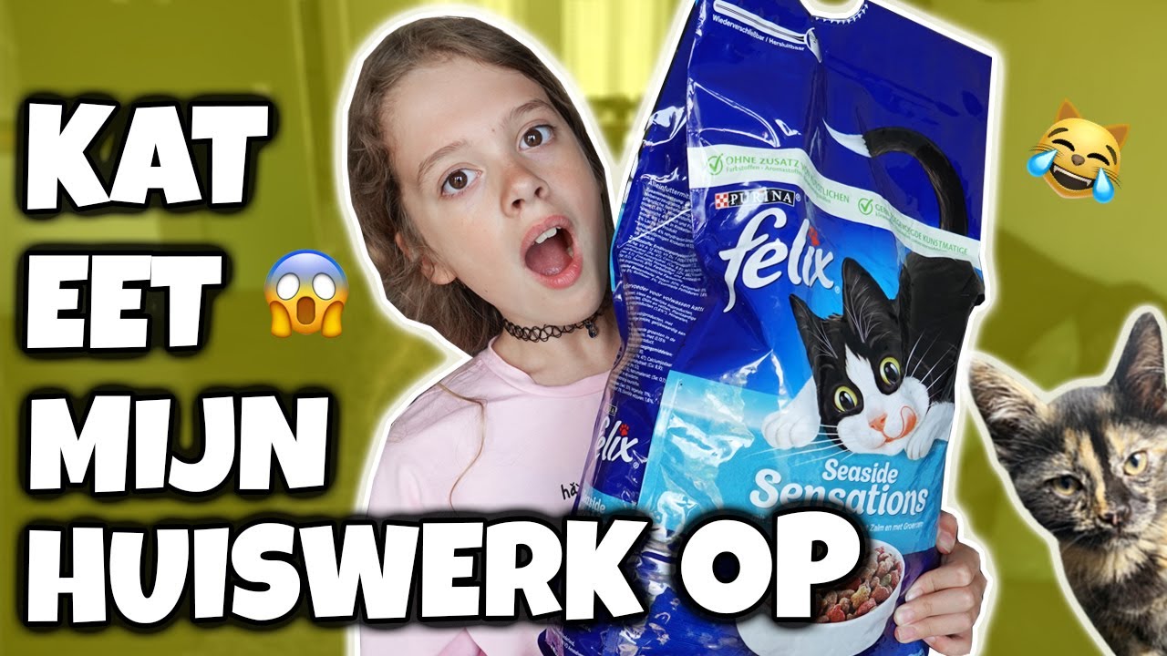 LEVEN ZONDER KATTEN VS LEVEN MET KATTEN [SKETCH + BLOOPERS] - Broer en Zus TV 