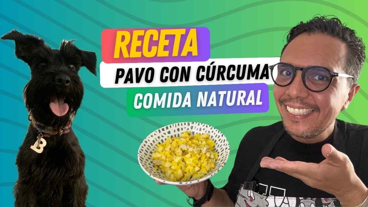 🐕🥘 Receta de comida natural para perros 🐶 PERRHIJOS 🦃 Pavo o pollo con c&uacute;rcuma🐩🍛 Qued&oacute; riqu&iacute;sima.