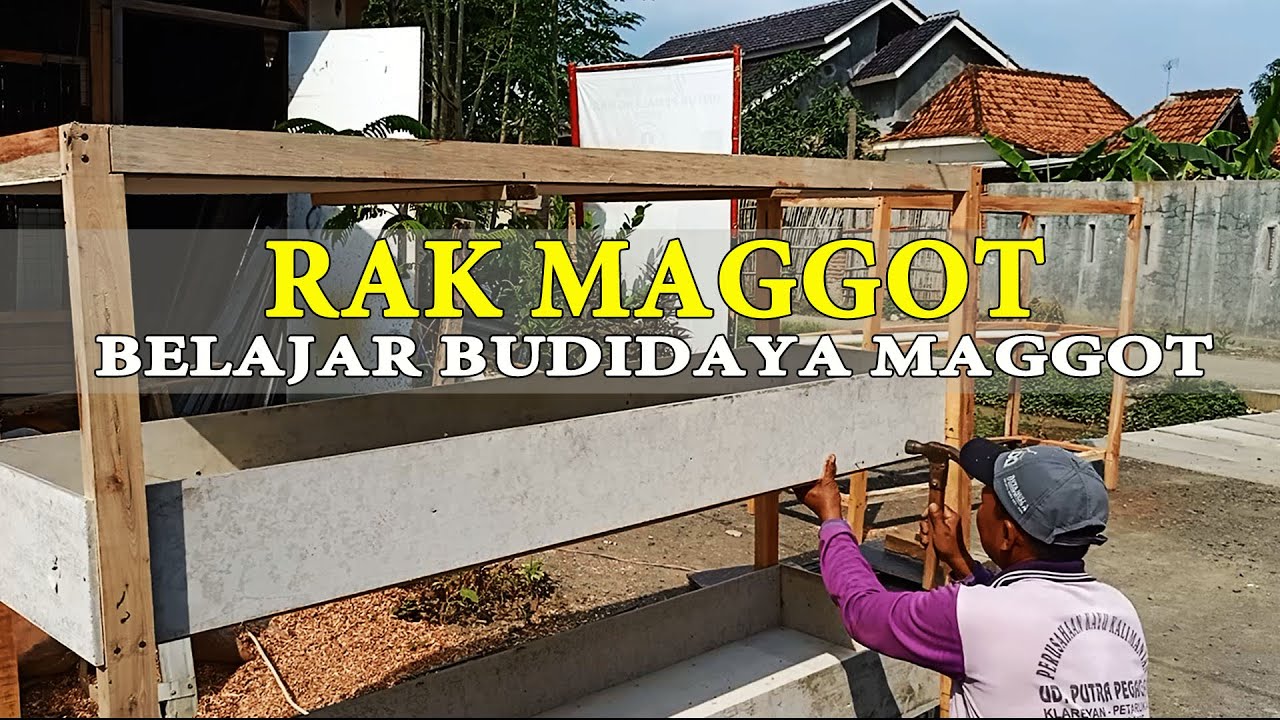 PENGUSAHA WAJIB TAHU ,CARA MEMBUAT RAK BUDIDAYA MAGGOT/BIOPOND MAGGOT