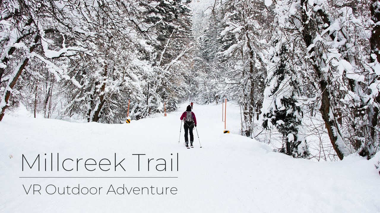 Millcreek Trail, Utah (Winter) | VR Ski Tour with Relaxing Lofi Beat