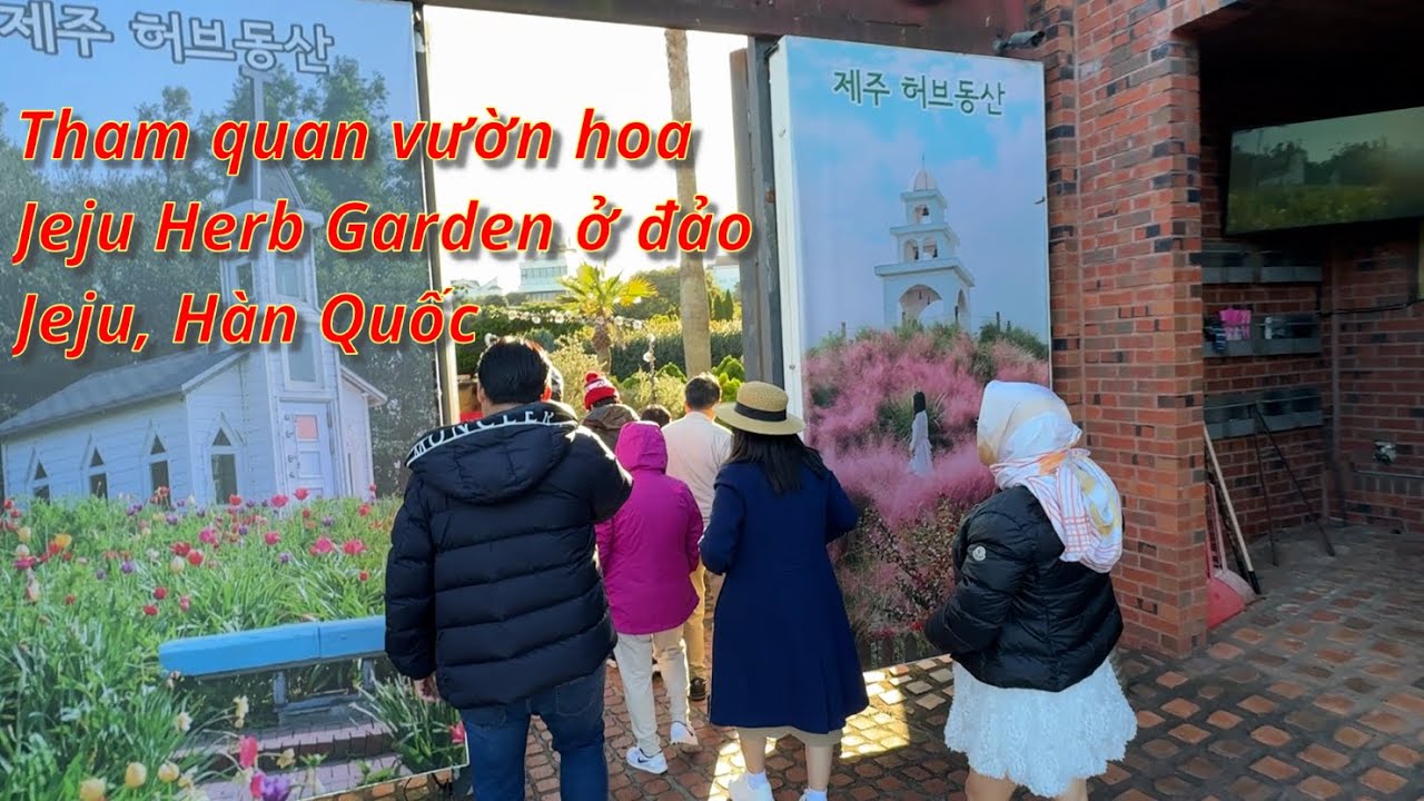 Tham quan vườn hoa Jeju Herb Garden ở đảo Jeju, Hàn Quốc; Visit Jeju Herb Garden in Jeju island, KR