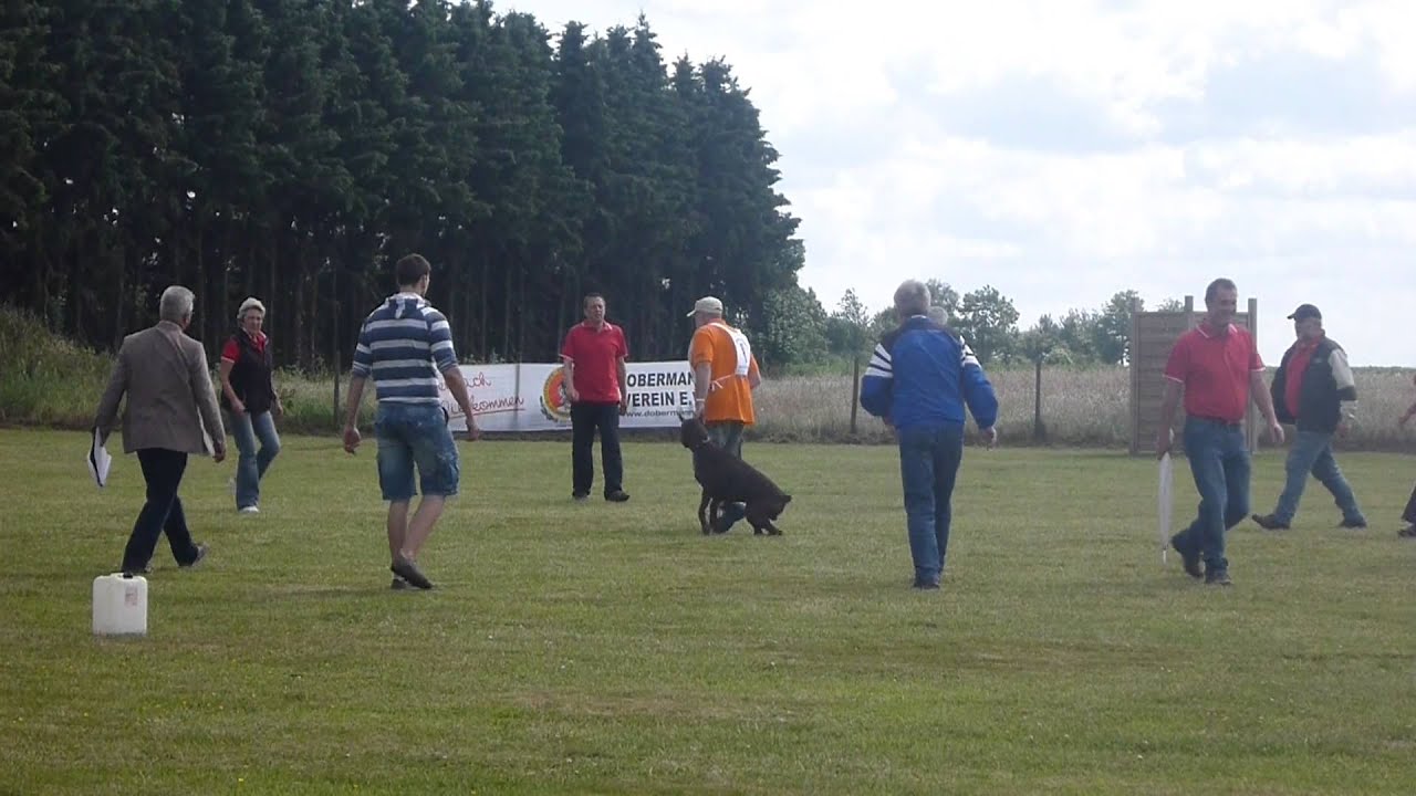 Rellaps Forrest K&ouml;rung 2012. part 1