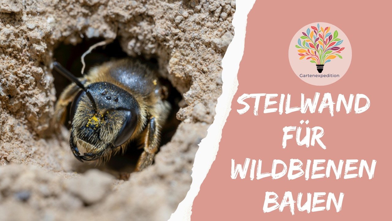 Wildbienen-Nistplatz in 15 Minuten: Steilwand aus Kiste oder Topf - Gartenexpedition #naturgarten