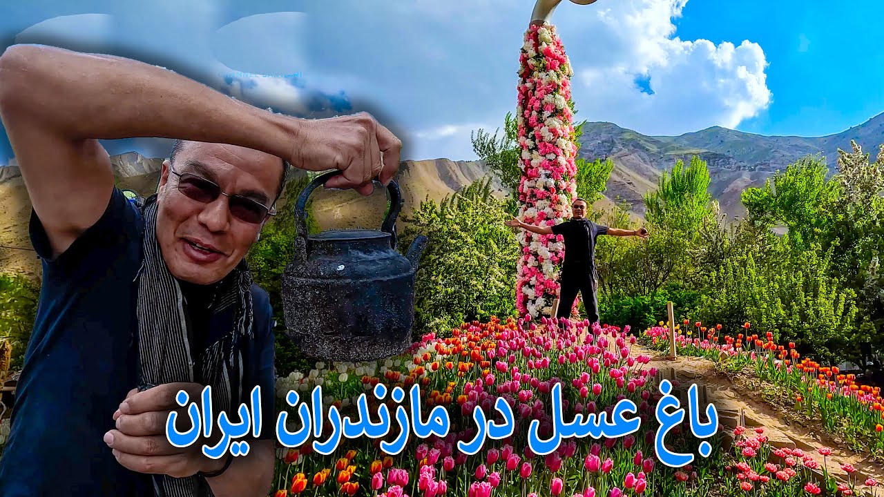 Best Honey Farm And Gardens In Mazandaran Iran