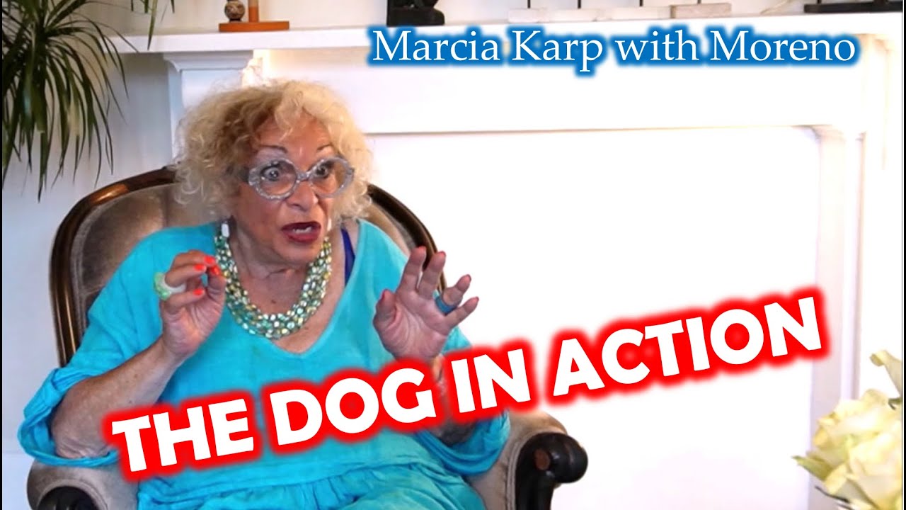 Marcia Karp: Training with Moreno, and the Dog in Action