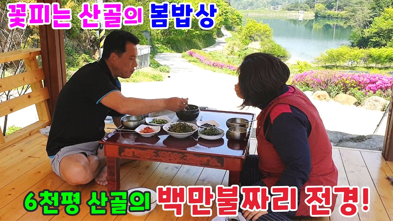꽃피는 산골의 약이되는 봄 밥상! 6천평 산골의 백만불짜리 전경!