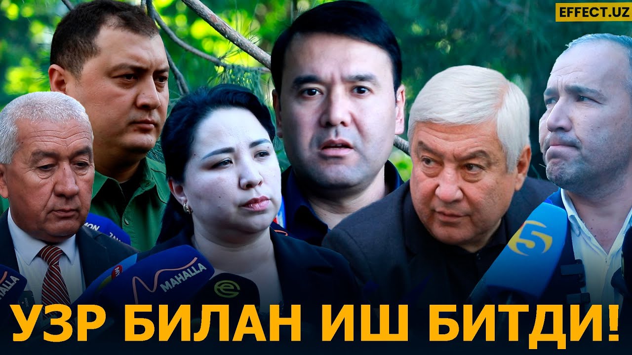 ХИЁНАТ ЭМАС, ФОЖИА – КЕСИЛГАН ДАРАХТЛАР УЧУН ФАҚАТ УЗР СЎРАЛДИ… EFFECT UZ