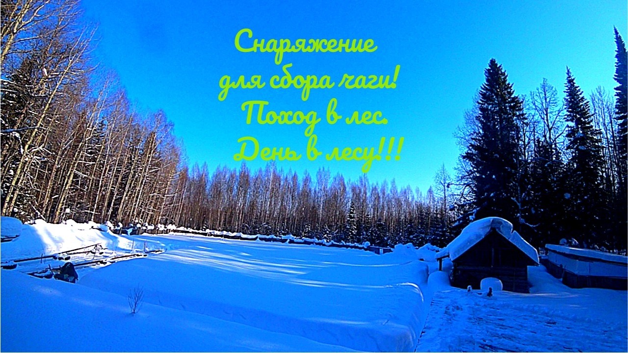 Жизнь в глубинке. Какое снаряжение нужно для сбора чаги. Один день с Лесным Жителем.