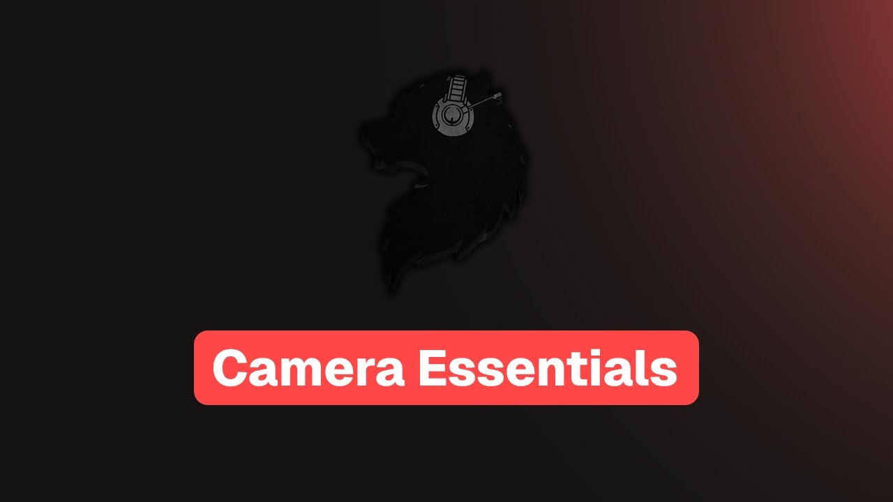 The Ultimate Guide for Wolfcam | Ep.02 (Camera Essentials)