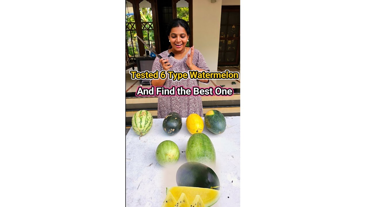 ഇത് കണ്ടിട്ട് തണ്ണിമത്തൻ കഴിച്ചാൽ ഗുണം ഉണ്ടാകും 6Type Watermelon Tested   #mrandmrsvlog #watermelon 