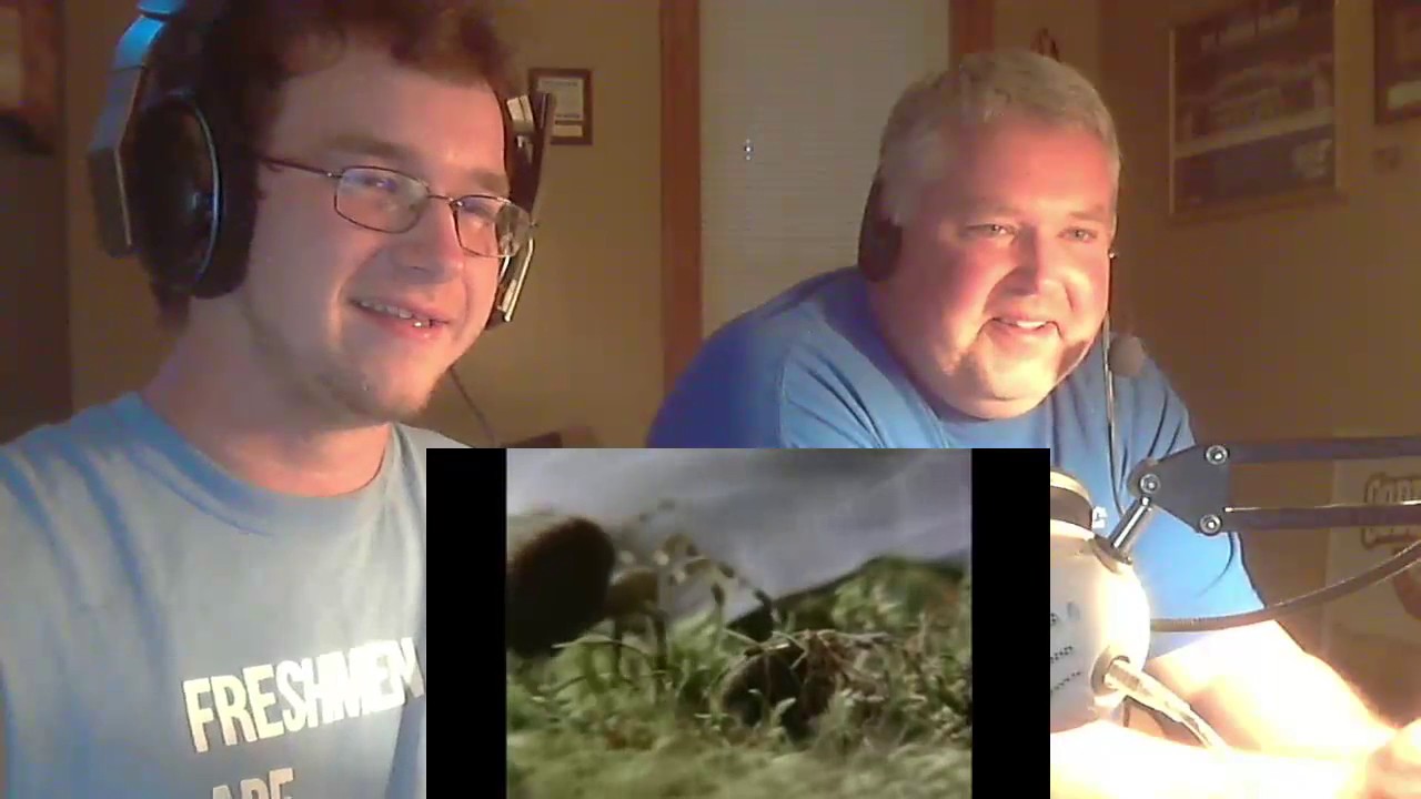 Dad REACTS to Spiders on drugs