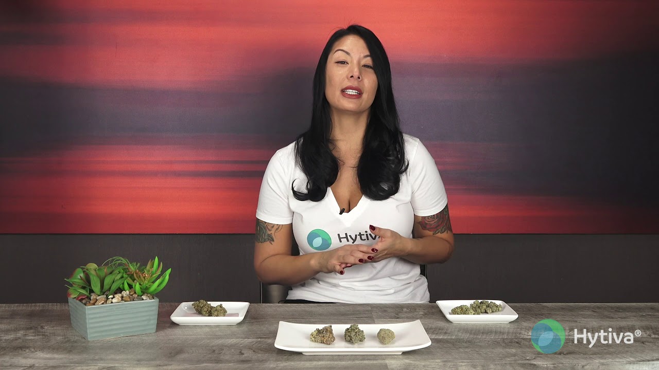 Strain Review: Plum Crazy