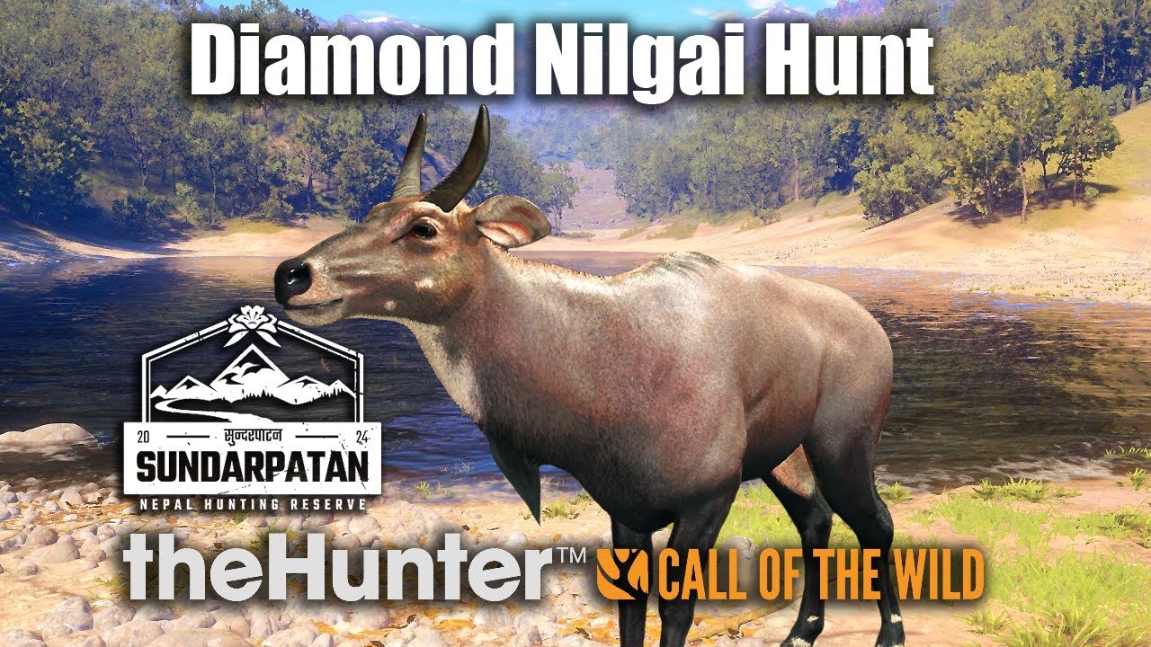 Diamond Nilgai Hunt - Sundarpatan Nepal - theHunter Call Of The Wild
