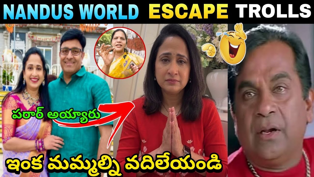 🚨Nandus World UK Visa Scam Trolls || Nandus World Escape Trolls || Public Reaction On Nandus World 