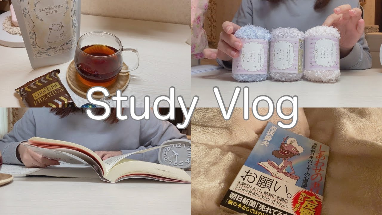 【Study Vlog】司法試験受験生の日常｜6時間勉強したとある休日｜セリアでの毛糸購入品🧶