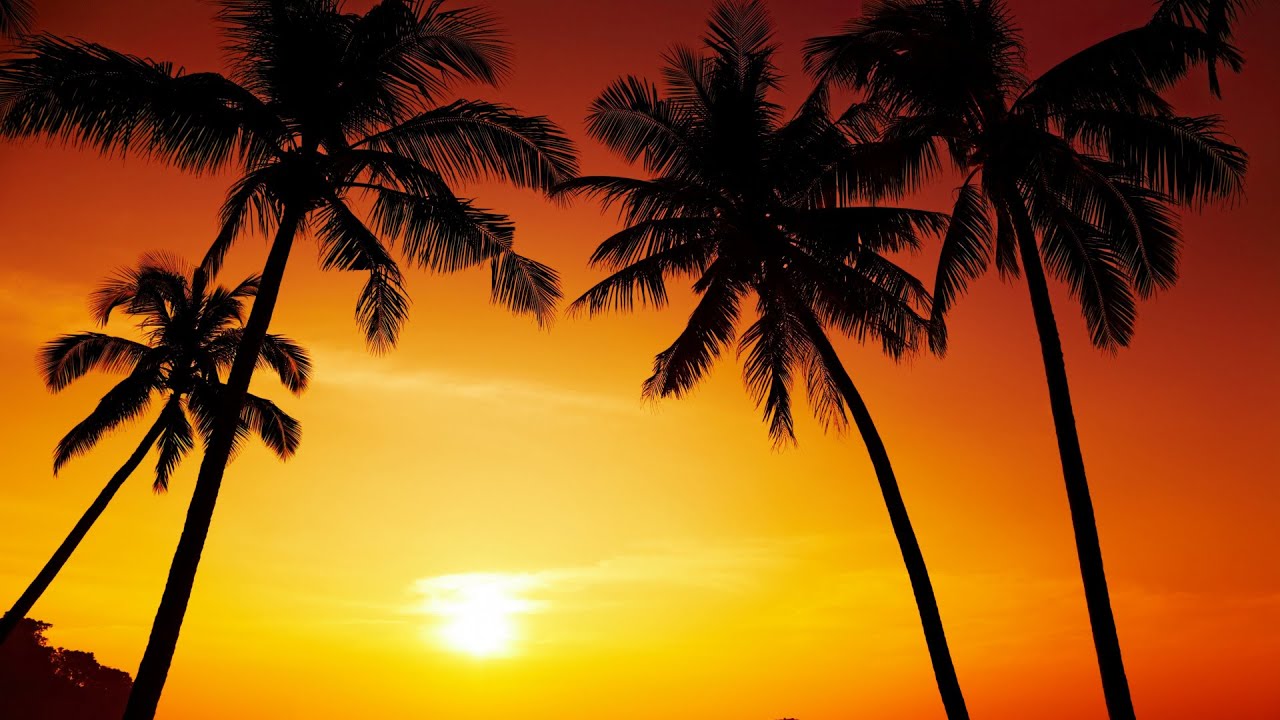 Bahamas Sunset Paradise