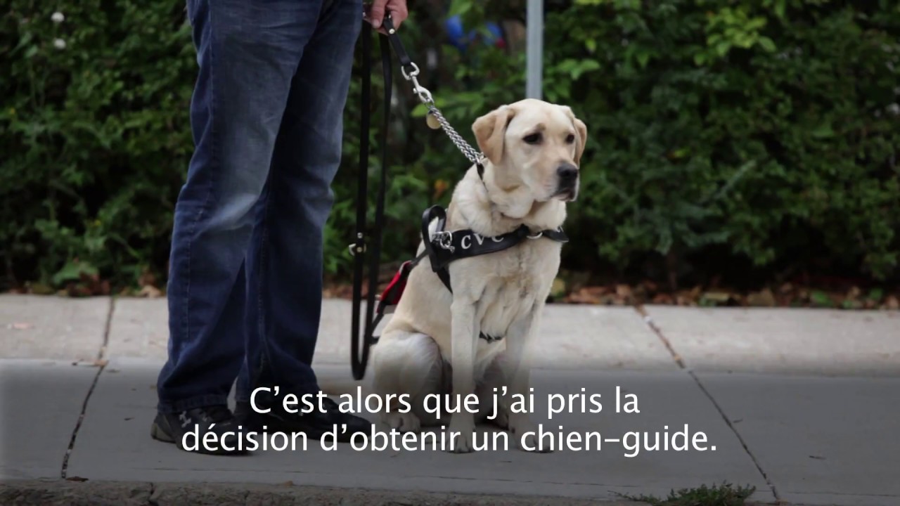 La Fondation des Lions du Canada Chiens-Guides - Vidéo (French Subtitles)