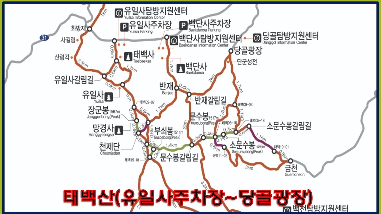 #태백산눈축제 #태백산 2026.02.01