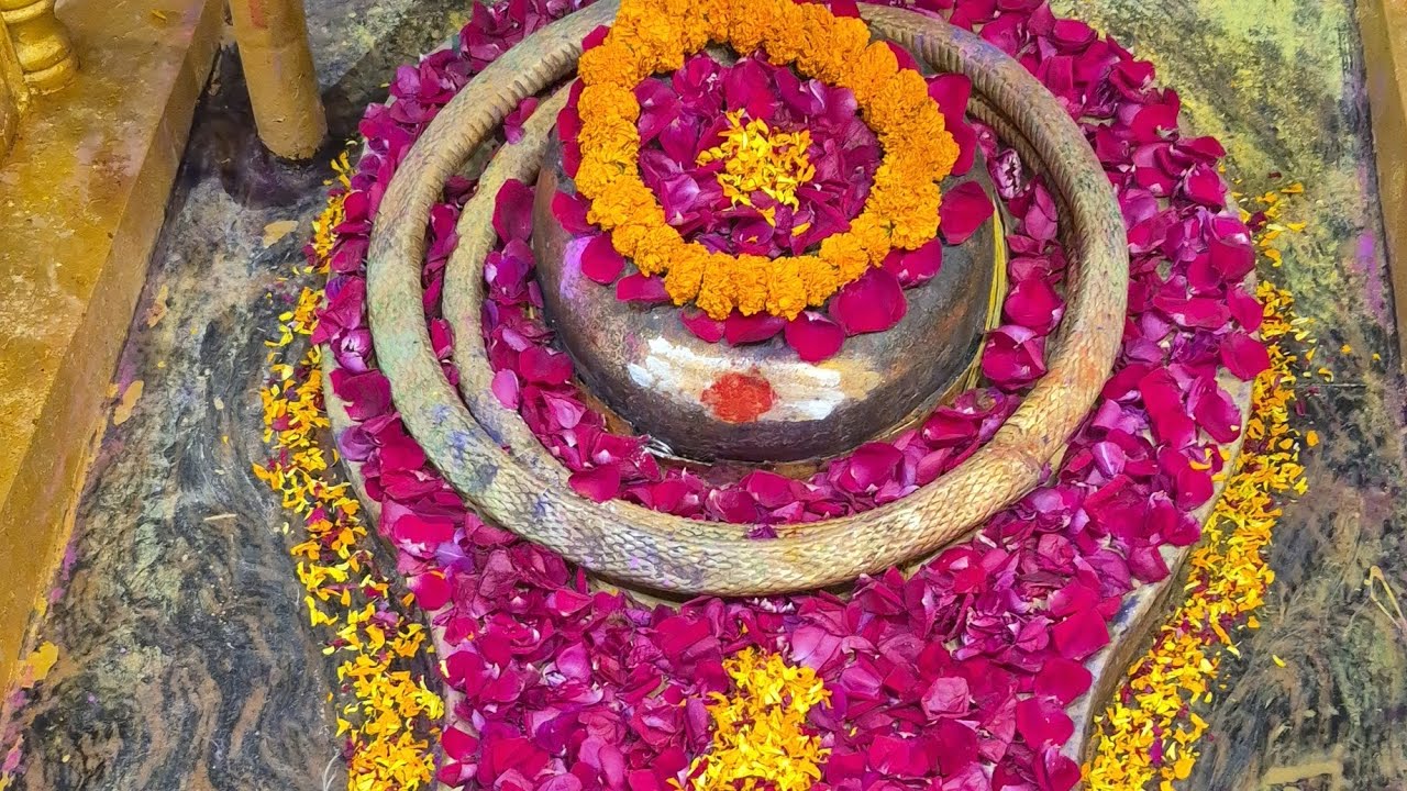 होली स्पेशल भजन 