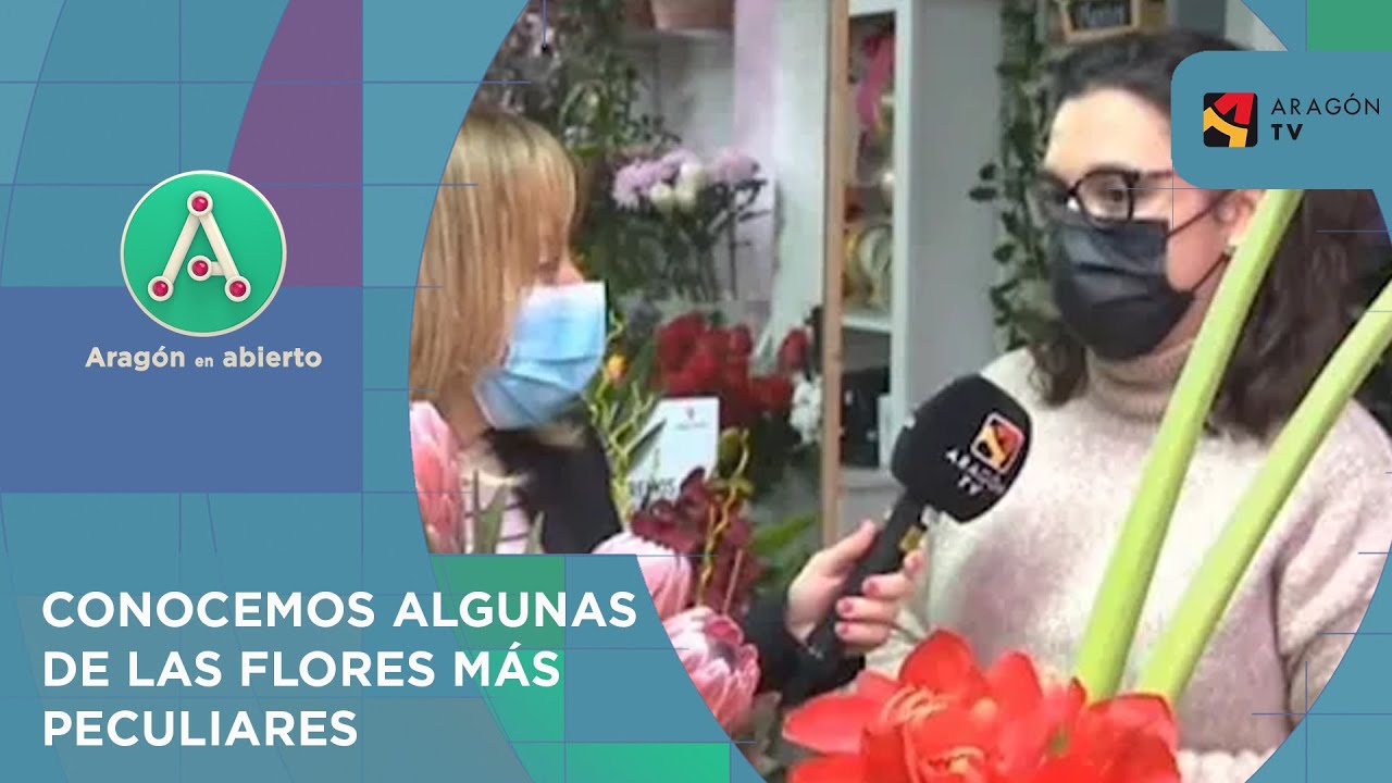 Flores singulares