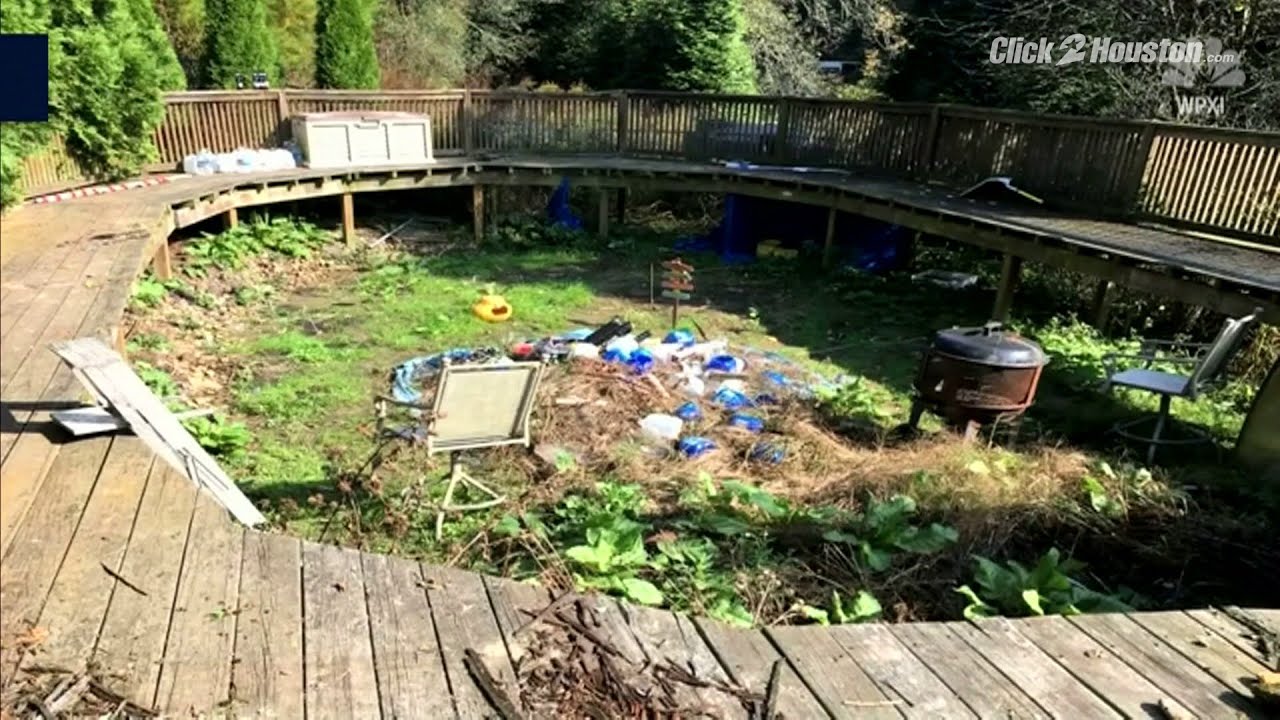 PA police find $100K worth of pot plants growing in backyard swimming pool