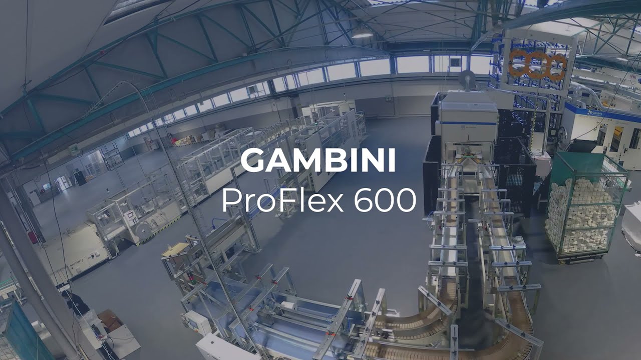 MP hygiene - Gambini ProFlex 600