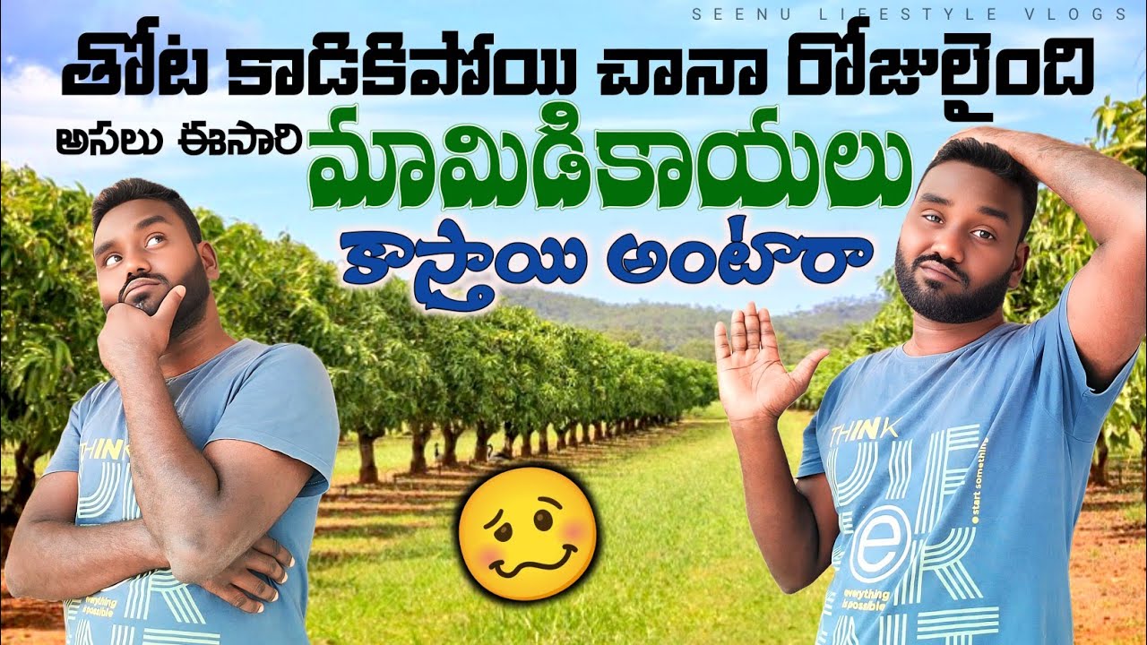 🥺ఈసారి ఎన్ని కాస్తాయో తెలియడం లేదు మామిడికాయలు చాలా రోజులైంది తోట కాడికి పోయి🤔#mangotree#familyvlog 