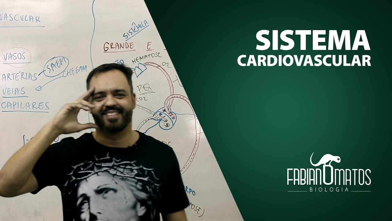 Sistema Cardiovascular - Fabiano matos