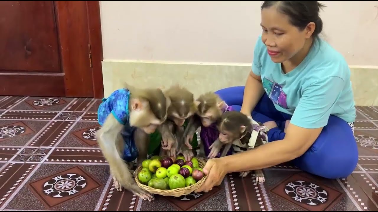 4 Sibling feel very over the moon while mom prepare best food to eat .