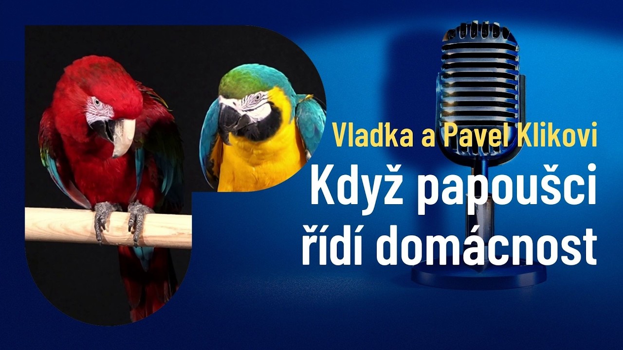 Když papoušci ovládnou studio: Tanec, kotouly a papouščí show! Proč je může zabít avokádo?