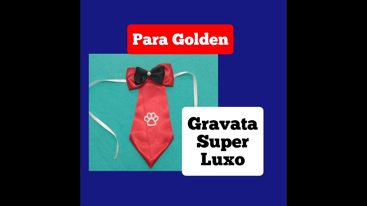 Gravata Pet super luxo para Golden.