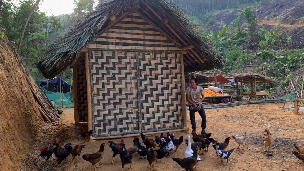 Building A Life Alone Away From Civilization, The grid, king kong amazon, Fp 275