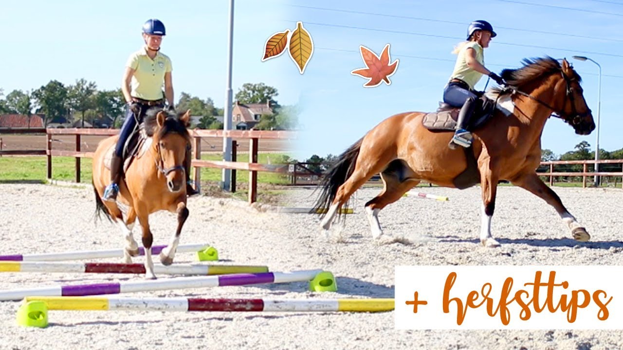 De LEUKSTE afwisseling van je SAAIE training! + herfsttips | felinehoi