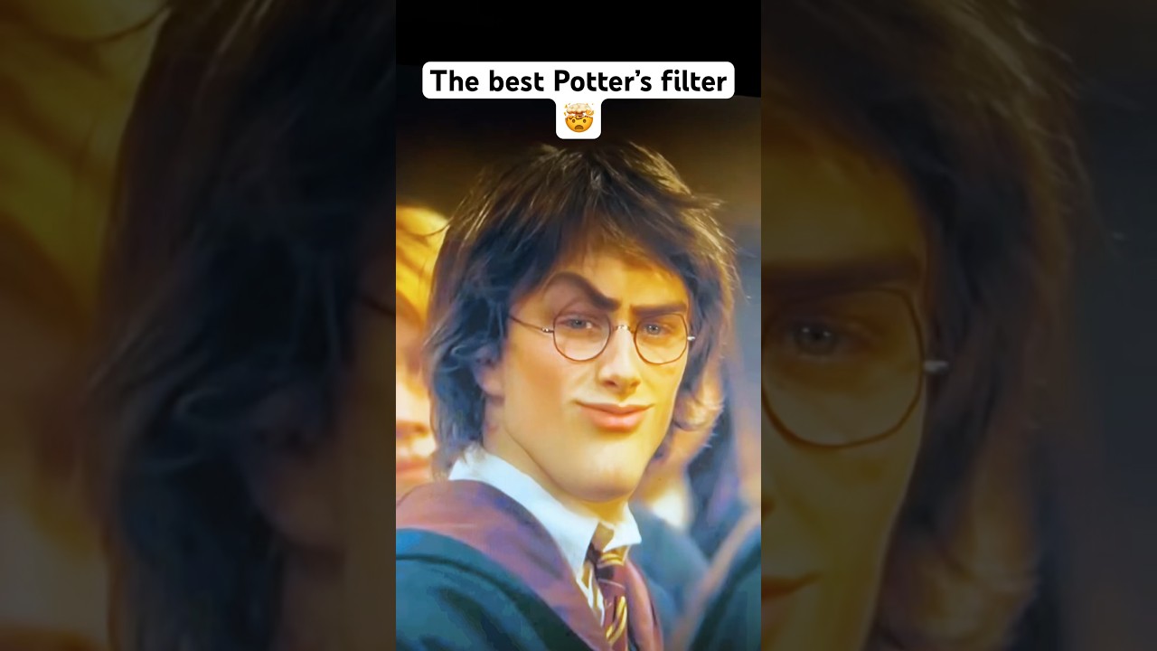 The best potter&rsquo;s filter #harrypotter #memes #edit #funny #movie #gigachad