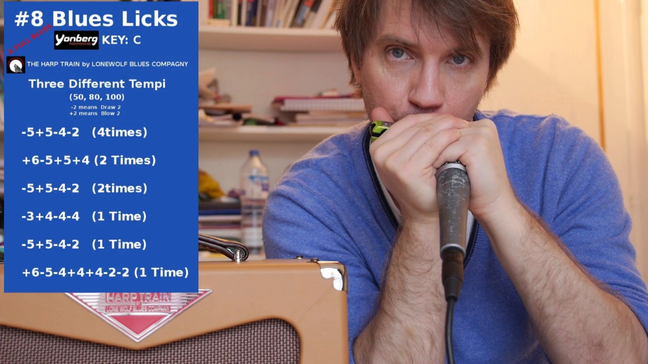 Harmonica Blues Lick Video #8-Yonberg-Lone Wolf Blues Compagny-BEIJA JEANZAC