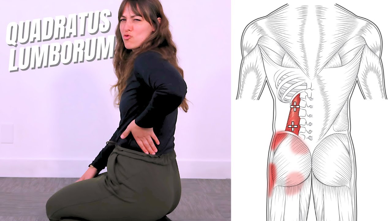 QL Muscle Pain Still Coming Back? Try This Fix for 2025