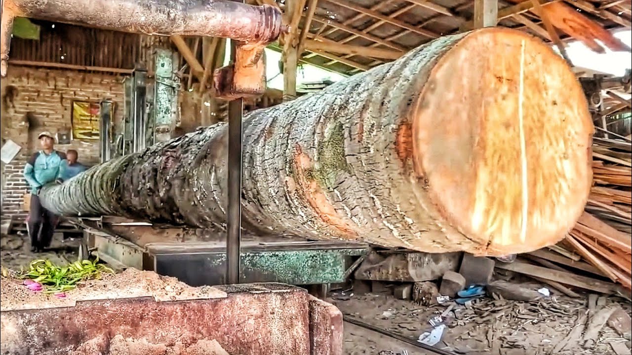 Processing a Massive 11-Meter Coconut Log | Sawmill Work