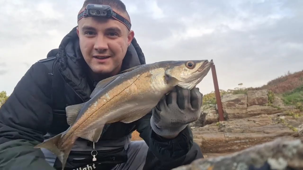 PESCANDO ABADEJOS A SPINNING EN LA COSTA DE GALICIA