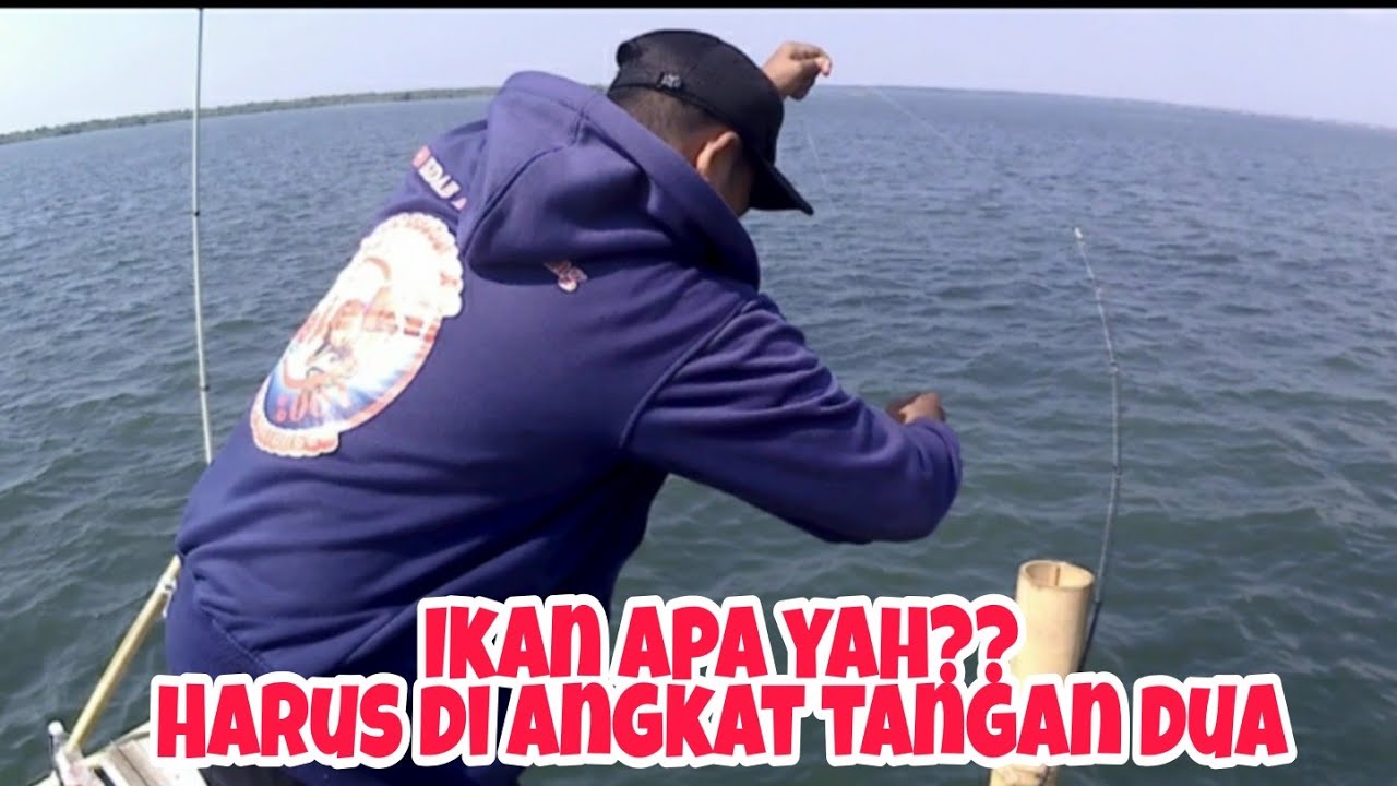 Tarikan Terberat , Jenis Ikan apa ini ? Mancing di Bagan Marunda || Spot Mancing di Jakarta #shorts