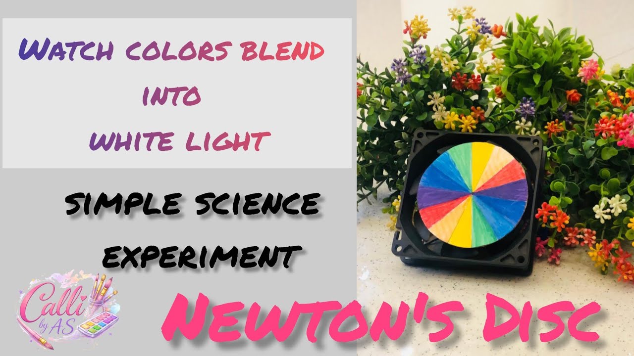 Newton Disc Experiment | Colors Turn Into White Light✨