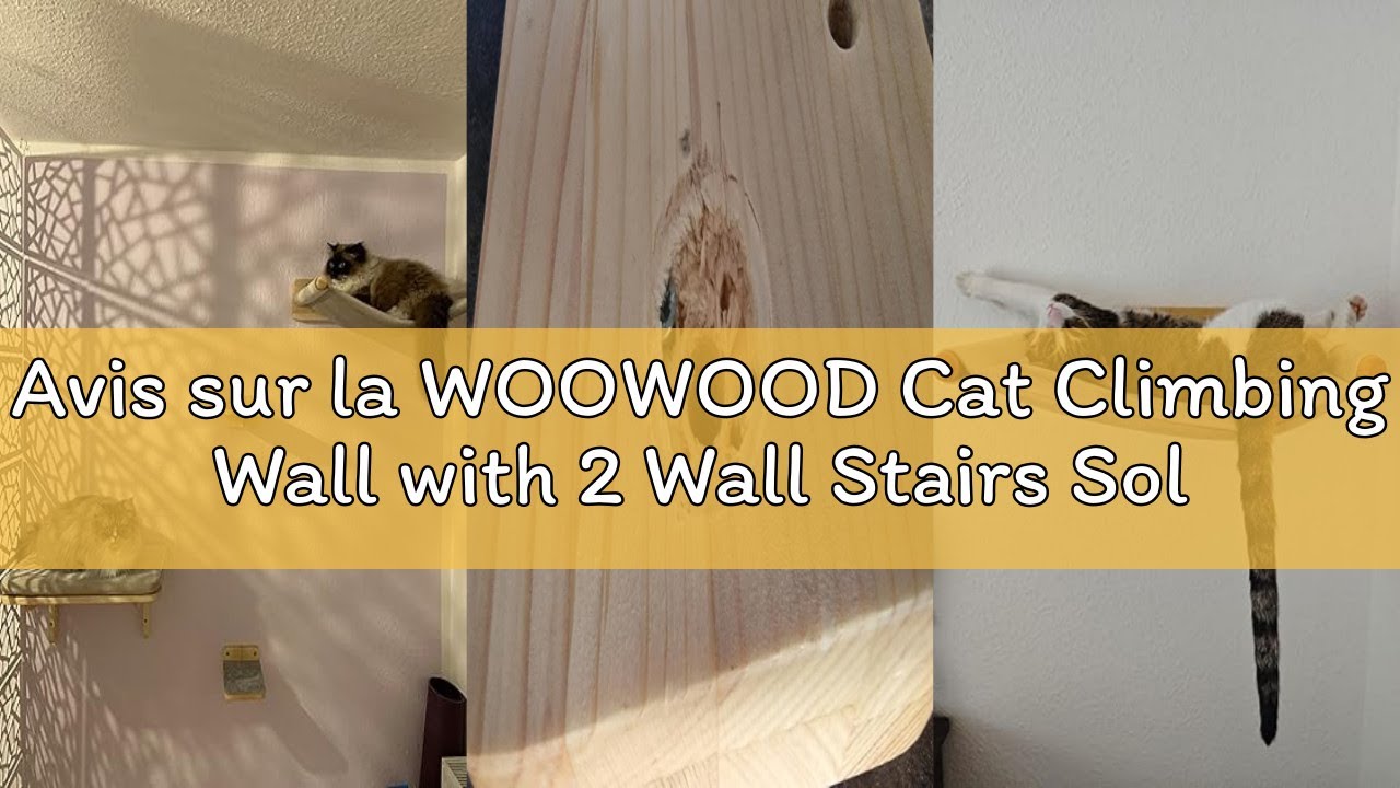 Avis sur la WOOWOOD Cat Climbing Wall with 2 Wall Stairs Solid Wood Cat Hammock Cat Tree Furniture